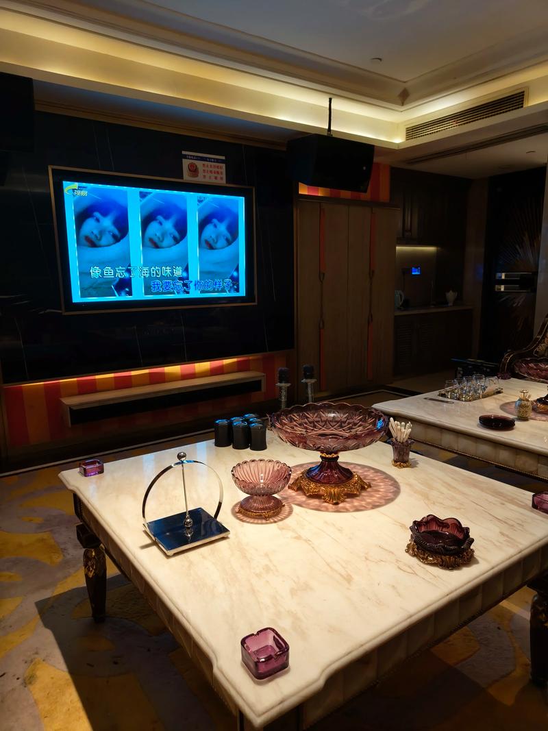 连云港商务ktv推荐商务ktv有哪些选择-赣榆区ktv预定